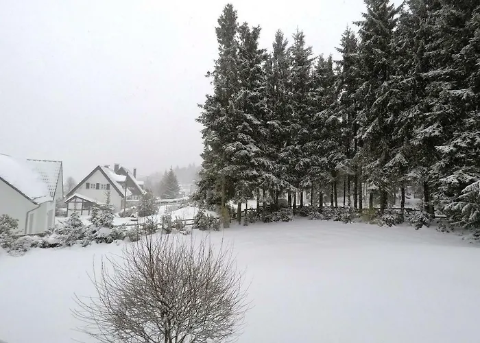 Kaeppchen Apartamento Winterberg